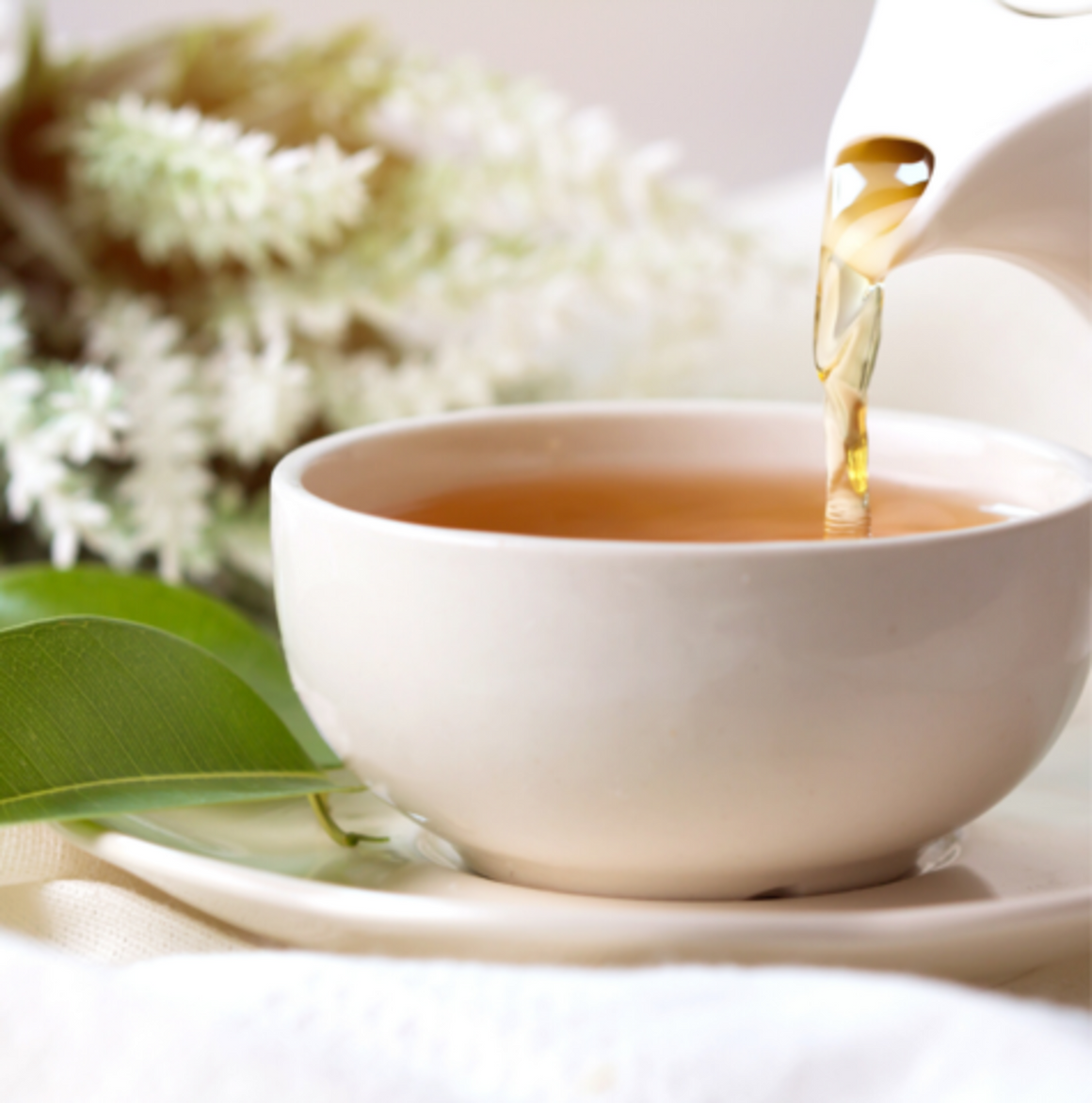 Tega Organic Tea - Pure Green Rooibos Herbal Tea, 16 Count